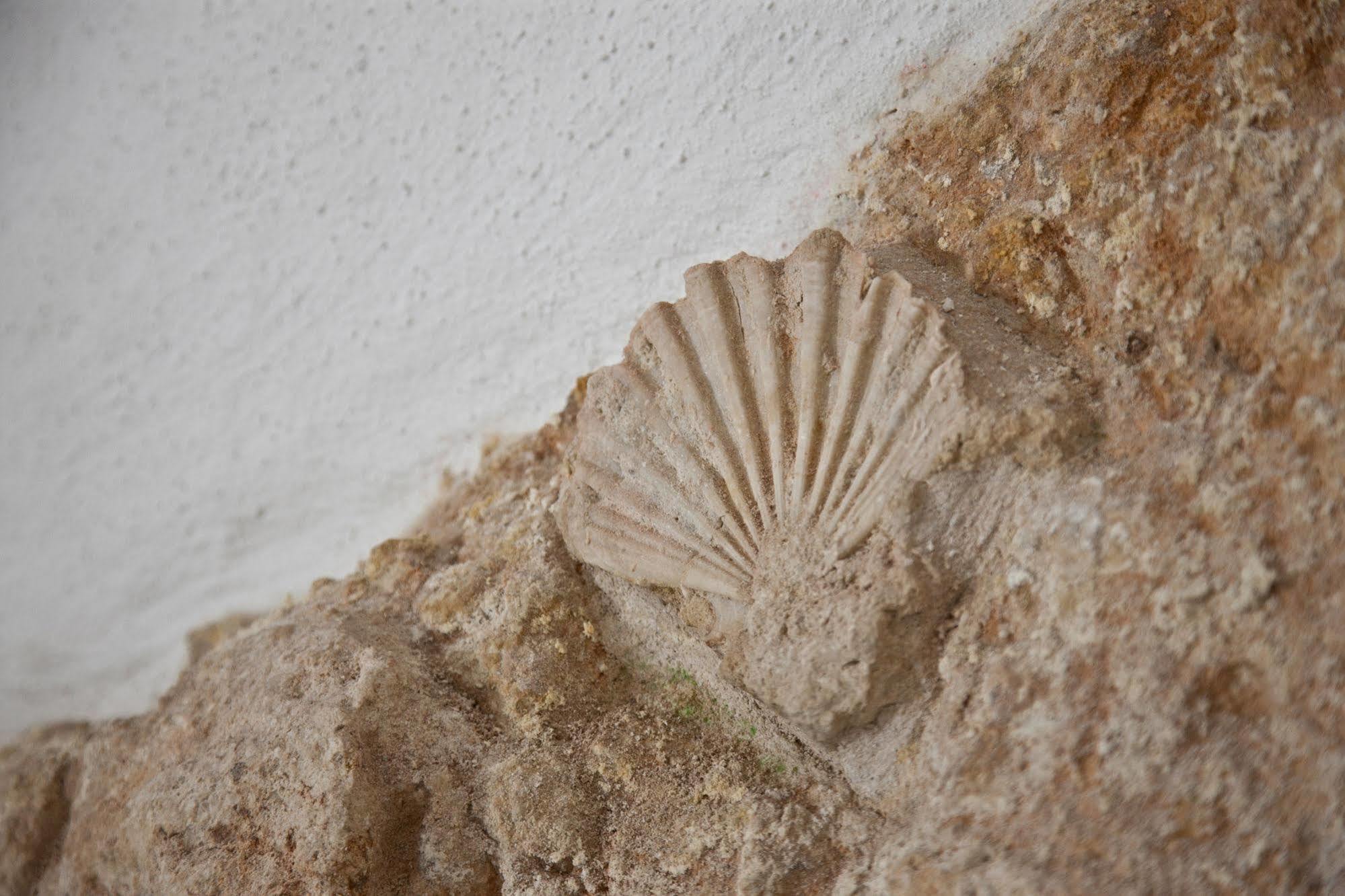 Apartament Grottammare Polignano a Mare Zewnętrze zdjęcie