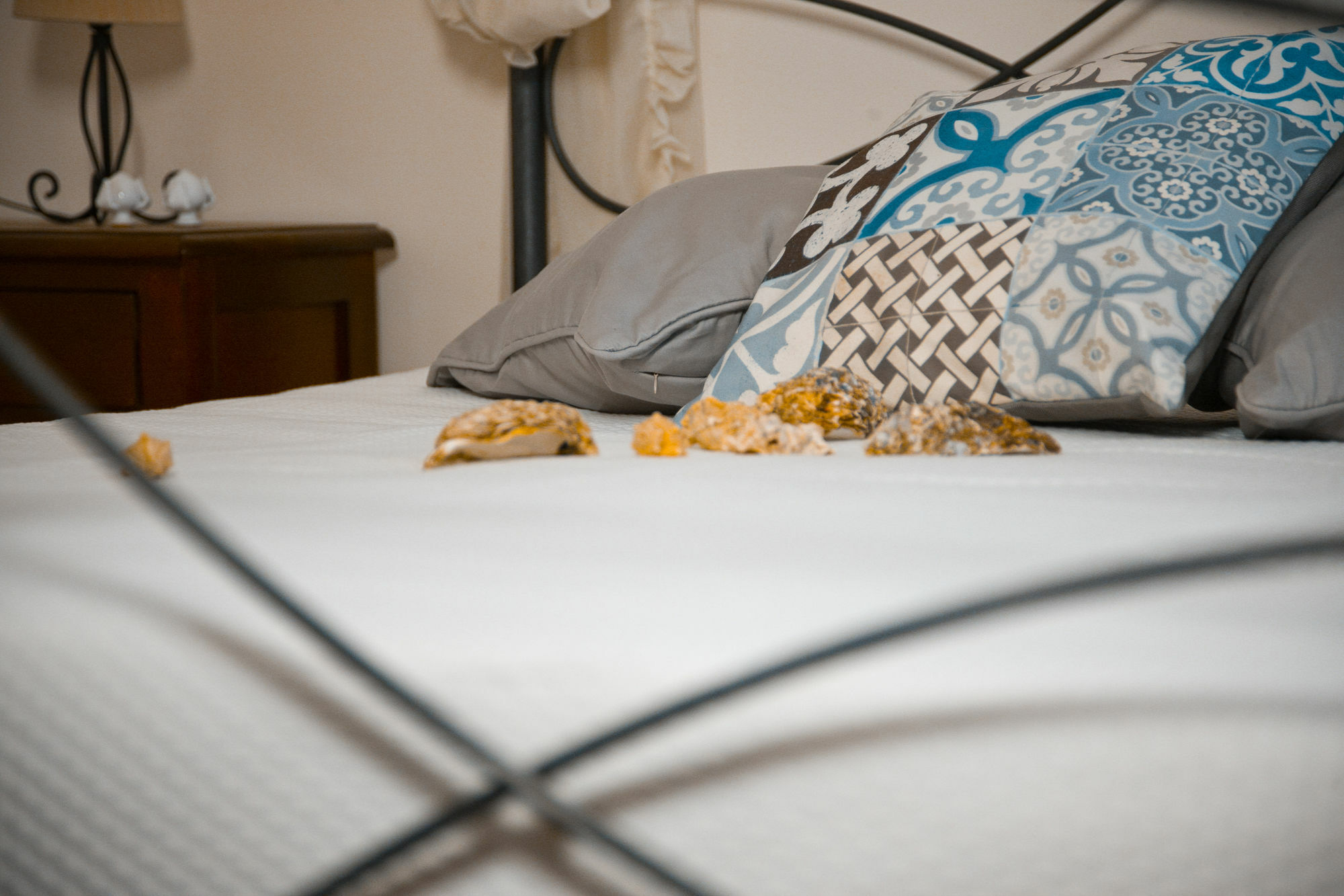 Apartament Grottammare Polignano a Mare Zewnętrze zdjęcie
